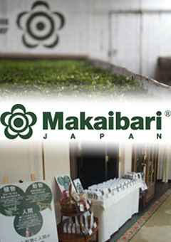 makaibari