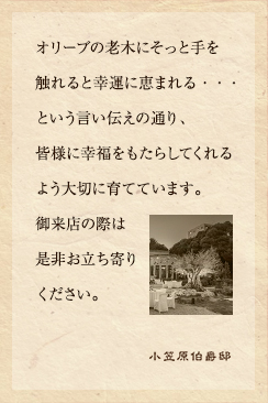 オリーブの老木にそっと手を触れると幸運に恵まれる、、、という言い伝えの通り、皆様に幸福をもたらしてくれるよう大切に育てています。
御来店の際は是非お立ち寄りください。 
