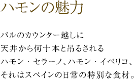 ハモンの魅力 -バルのカウンター越しに天井から何十本と吊るされるハモン・セラーノ、ハモン・イベリコ、それはスペインの日常の特別な食材。-